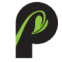 palmers business support ltd