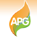 apg domestic services limited