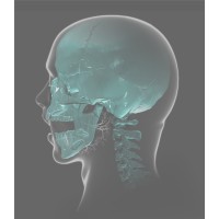 british association of oral surgeons