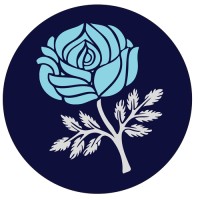 sheffield rugby union football club limited