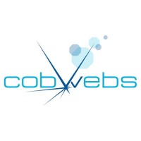 cobwebs south west limited