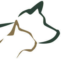 j.a.k marketing limited