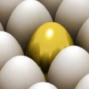 allied luptons limited