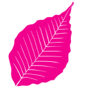 beech tree total care limited