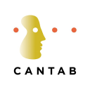 cambridge cognition limited