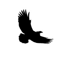 eagle performance limited