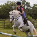 witham villa riding centre limited
