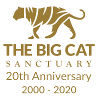 the big cat sanctuary limited