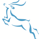 independent audit limited