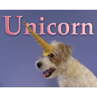unicorn television limited