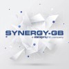 synergy (gb) limited