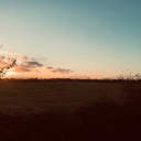 eden intelligence ltd.