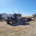 cd international ltd