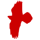 red raven design ltd.