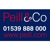 peill & company limited