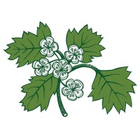 hawthorn press limited