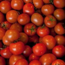 walmestone growers limited