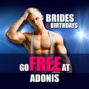 adonis cabaret limited