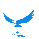 business revival limited