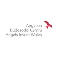 angels invest wales limited