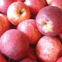 great oak foods limited