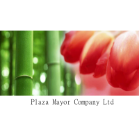 plaza mayor company limited