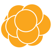 cloudberry digital limited