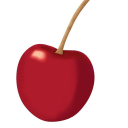 lofts over london limited