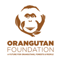 orangutan foundation