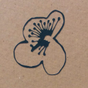 enchanted plants ltd