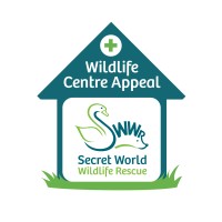 secret world wildlife rescue