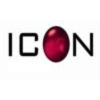 icon i.t. services limited