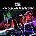 break beat kaos limited