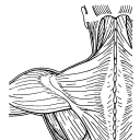 rugby physiotherapy & sports injury clinic ltd