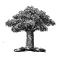 woolrych computer services ltd