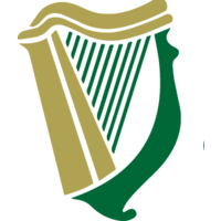 first celtic international limited