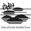 isles of scilly wildlife trust limited