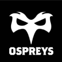 ospreys rugby limited
