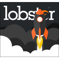 lobster digital marketing limited