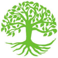 beeches tree care limited