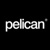 pelican media limited