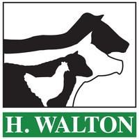 h walton limited