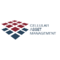cellular asset management ltd