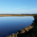 harbour systems limited