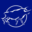 brindisa kitchens limited