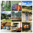 trallwm forest cottages limited