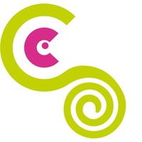 chameleon personnel services limited