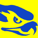 hawkeye security & surveillance systems ltd.