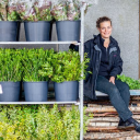 amanda austin flowers ltd