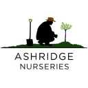ashridge trees limited